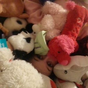 Meet your Posher, Belle